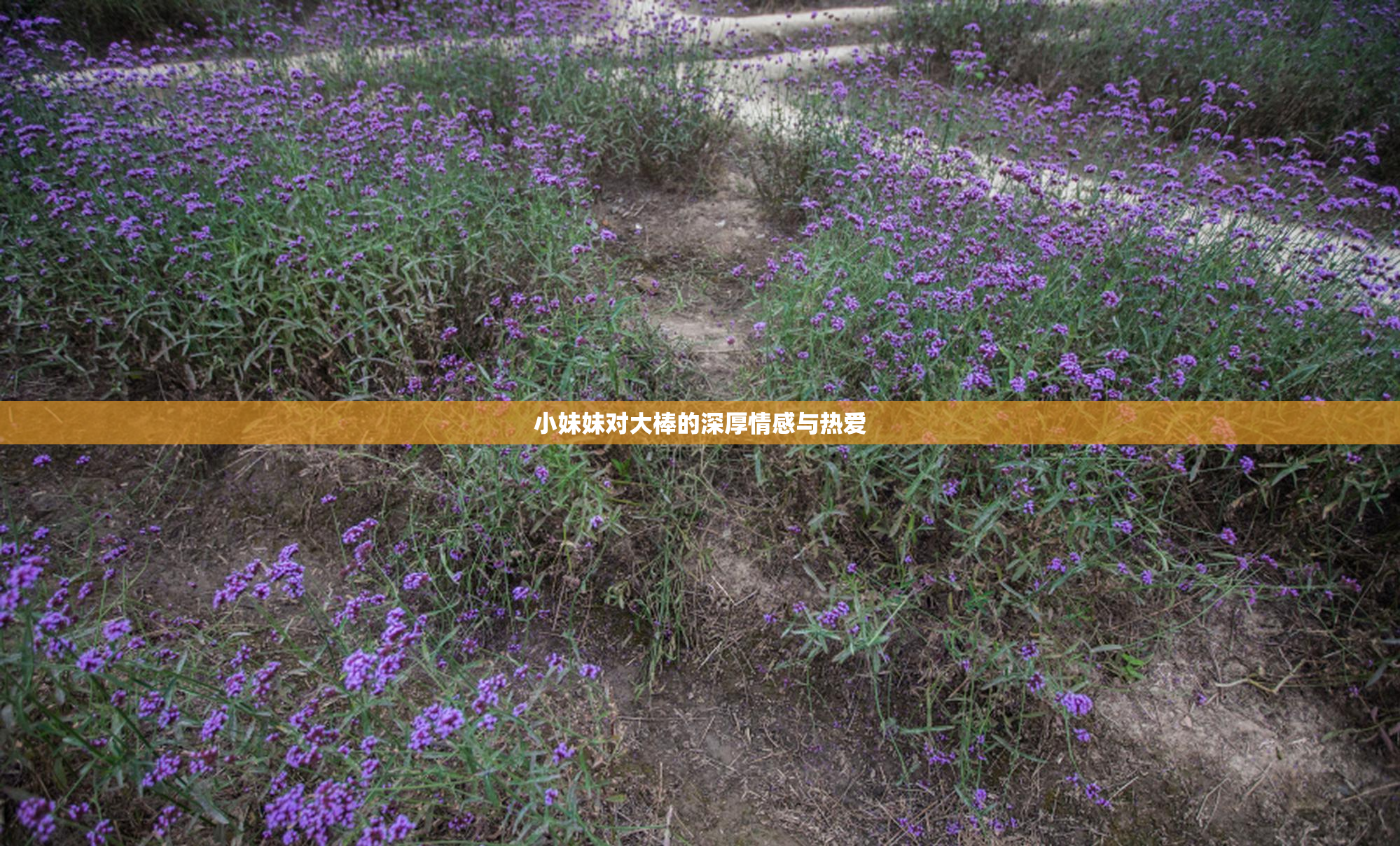 小妹妹对大棒的深厚情感与热爱