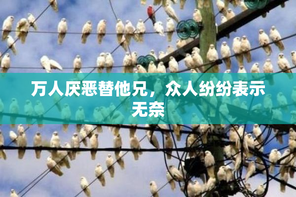 万人厌恶替他兄，众人纷纷表示无奈