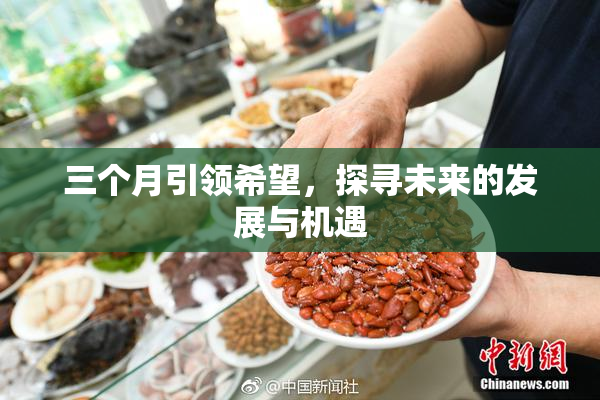 三个月引领希望，探寻未来的发展与机遇