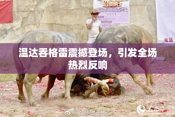 温达吞格雷震撼登场，引发全场热烈反响