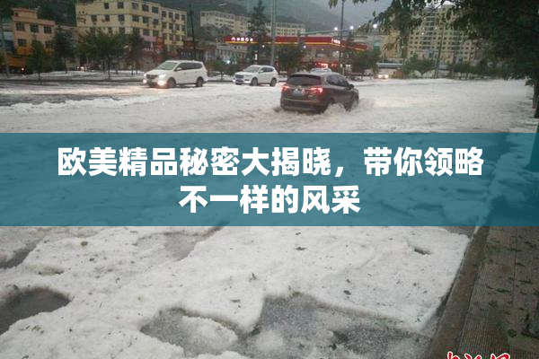欧美精品秘密大揭晓，带你领略不一样的风采