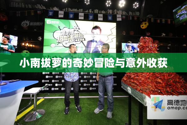 小南拔萝的奇妙冒险与意外收获