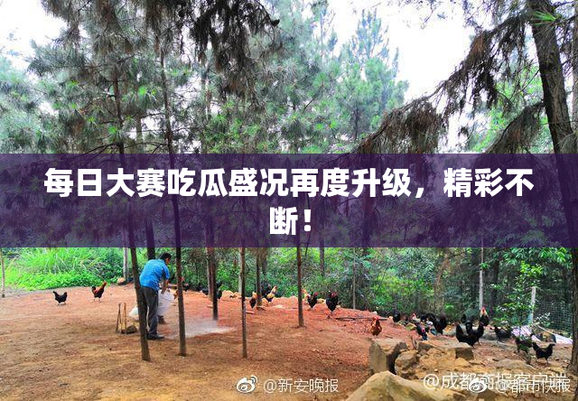 每日大赛吃瓜盛况再度升级，精彩不断！