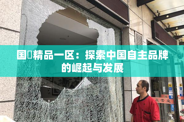 国產精品一区：探索中国自主品牌的崛起与发展
