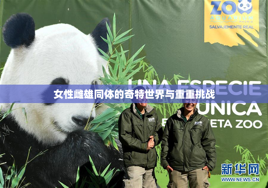 女性雌雄同体的奇特世界与重重挑战