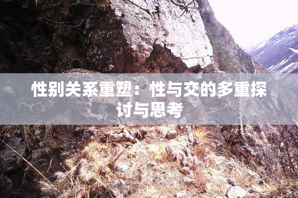 性别关系重塑：性与交的多重探讨与思考
