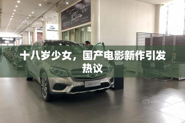十八岁少女，国产电影新作引发热议