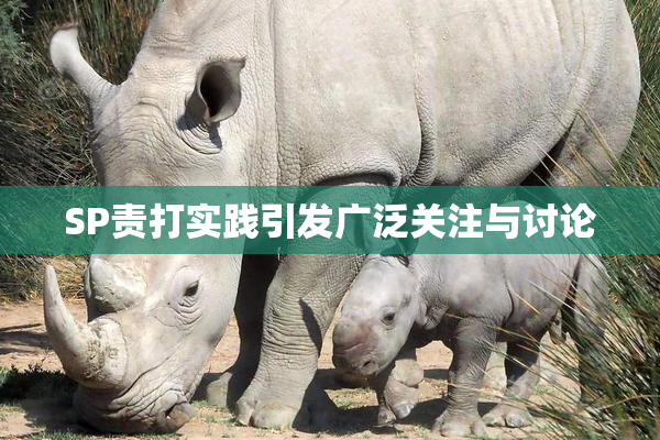 SP责打实践引发广泛关注与讨论