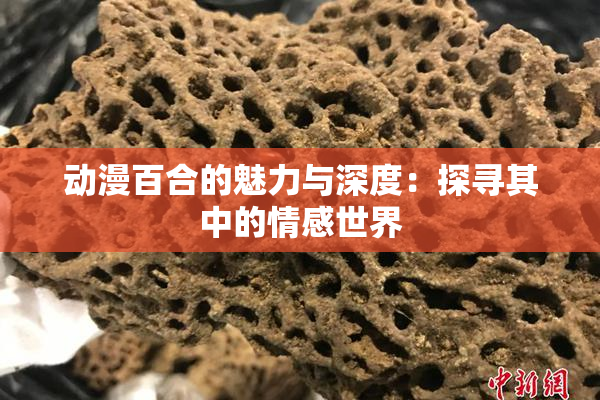 动漫百合的魅力与深度：探寻其中的情感世界