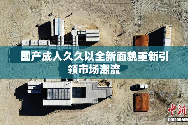 国产成人久久以全新面貌重新引领市场潮流