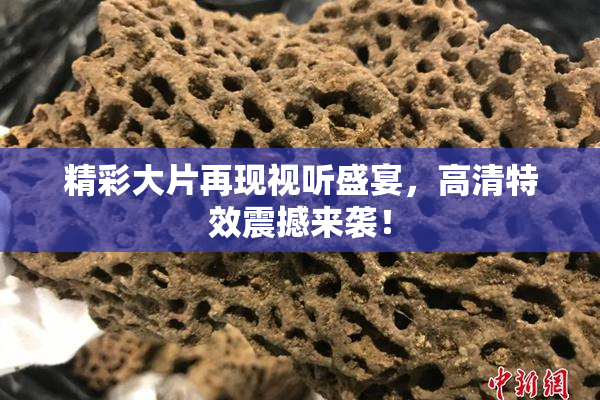 精彩大片再现视听盛宴，高清特效震撼来袭！