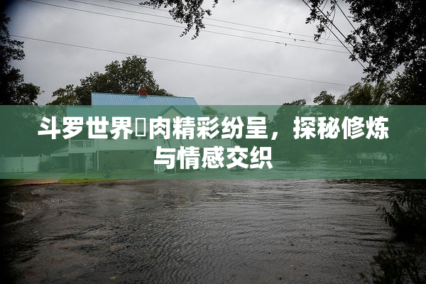 斗罗世界婬肉精彩纷呈，探秘修炼与情感交织
