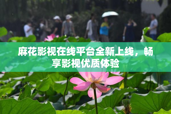 麻花影视在线平台全新上线，畅享影视优质体验