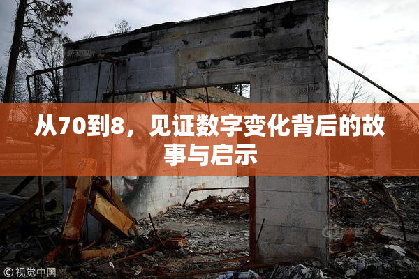 从70到8，见证数字变化背后的故事与启示