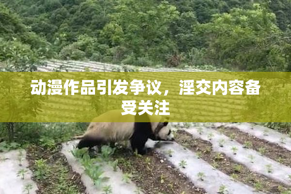 动漫作品引发争议，淫交内容备受关注