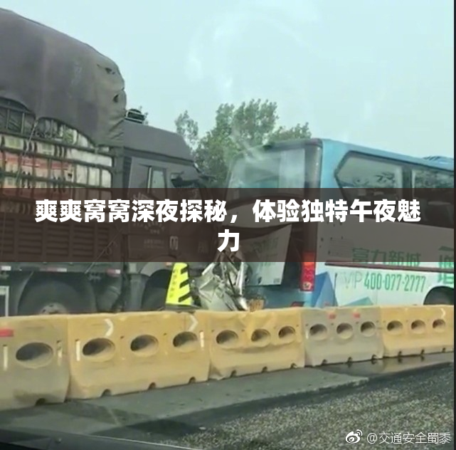 爽爽窝窝深夜探秘，体验独特午夜魅力