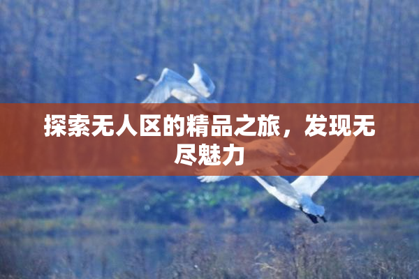 探索无人区的精品之旅，发现无尽魅力