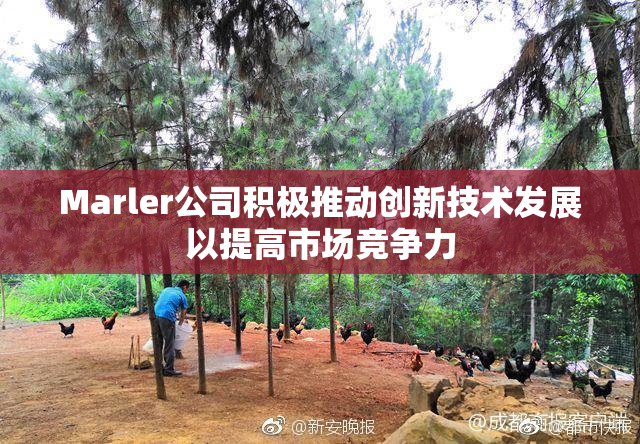 Marler公司积极推动创新技术发展以提高市场竞争力