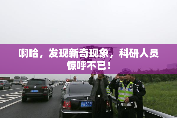 啊哈，发现新奇现象，科研人员惊呼不已！