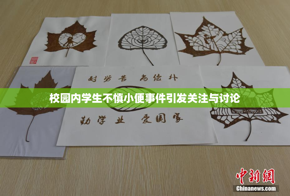 校园内学生不慎小便事件引发关注与讨论