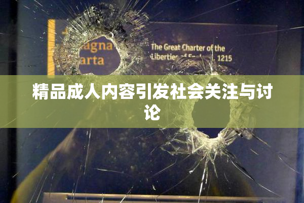 精品成人内容引发社会关注与讨论