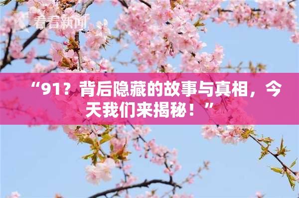 “91？背后隐藏的故事与真相，今天我们来揭秘！”