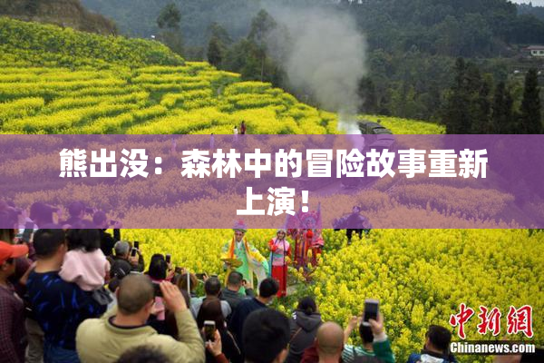 熊出没：森林中的冒险故事重新上演！