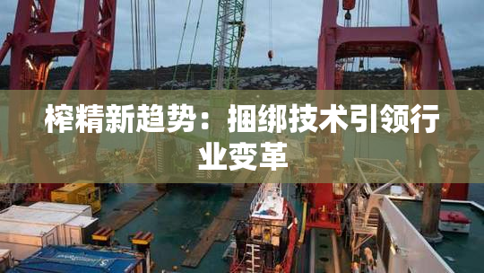 榨精新趋势：捆绑技术引领行业变革