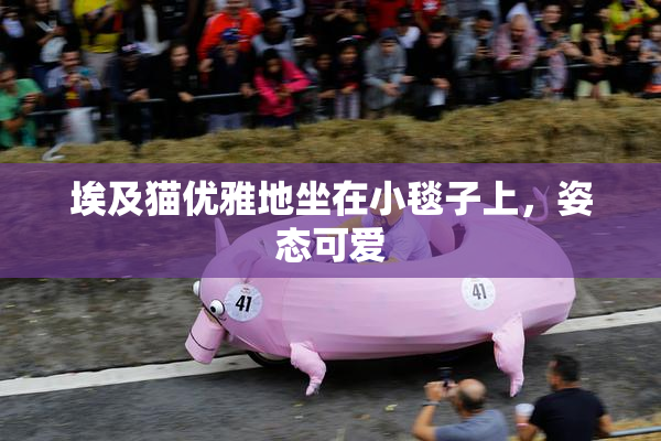 埃及猫优雅地坐在小毯子上，姿态可爱