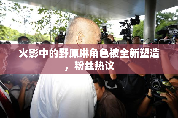 火影中的野原琳角色被全新塑造，粉丝热议
