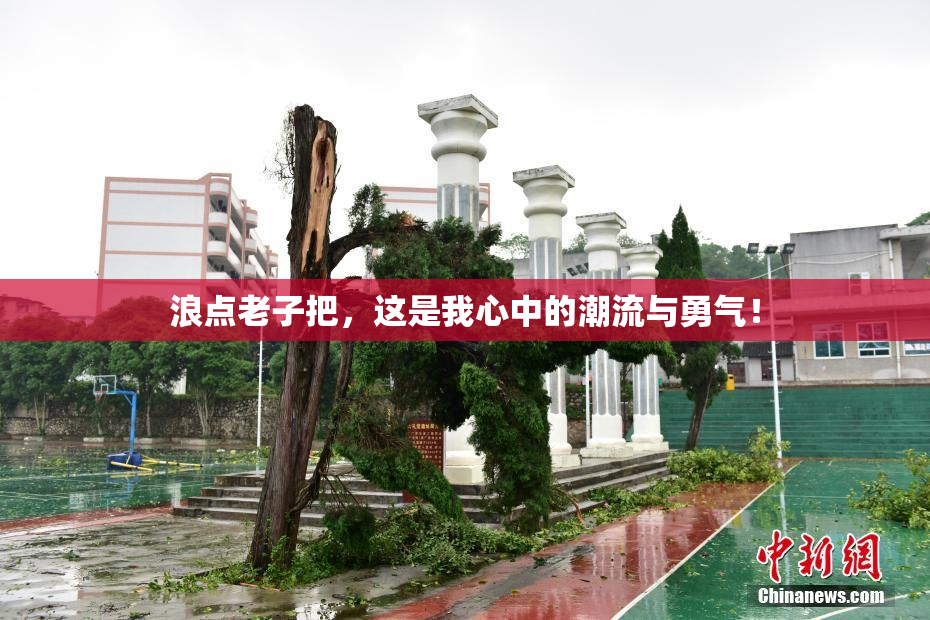 浪点老子把，这是我心中的潮流与勇气！