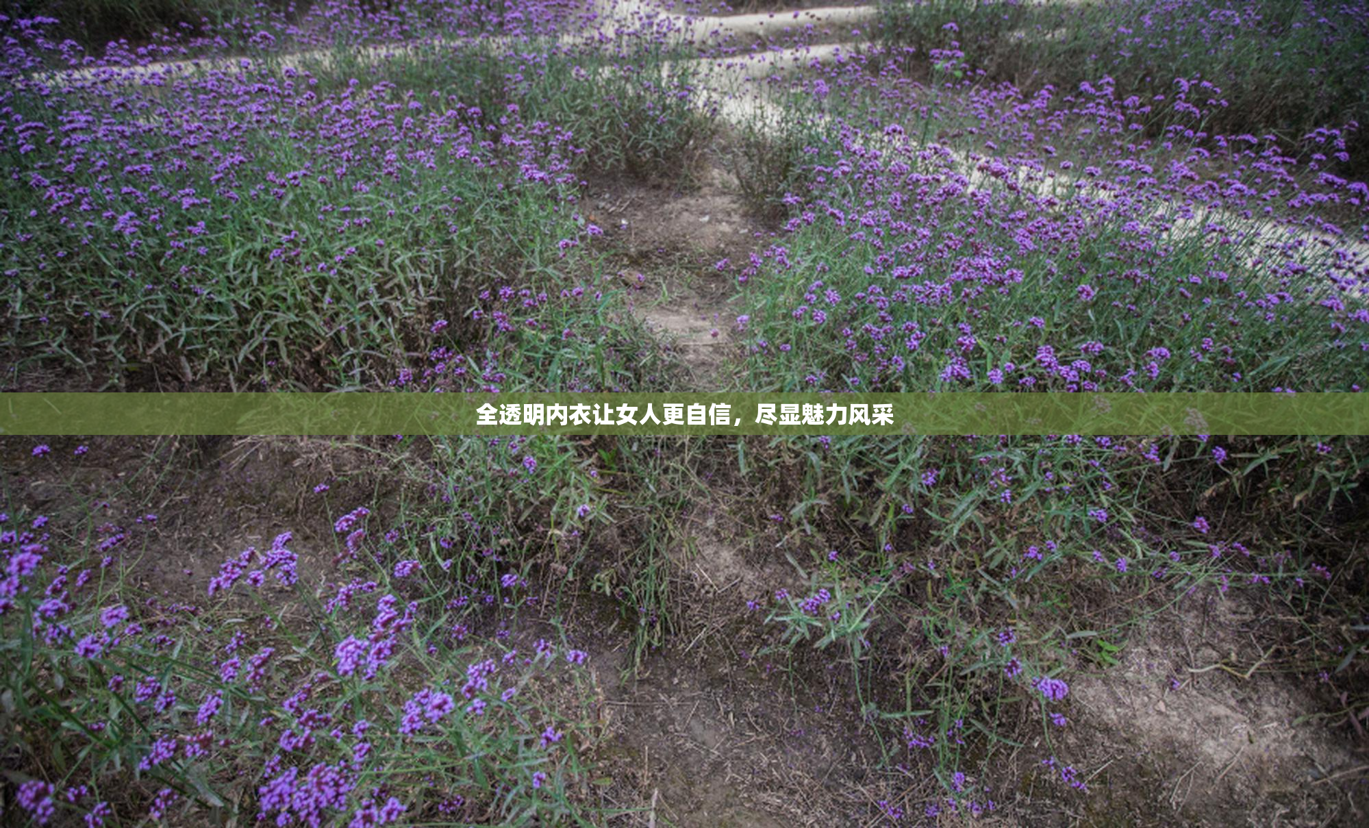 全透明内衣让女人更自信，尽显魅力风采
