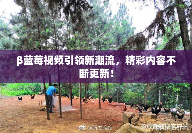 β蓝莓视频引领新潮流，精彩内容不断更新！