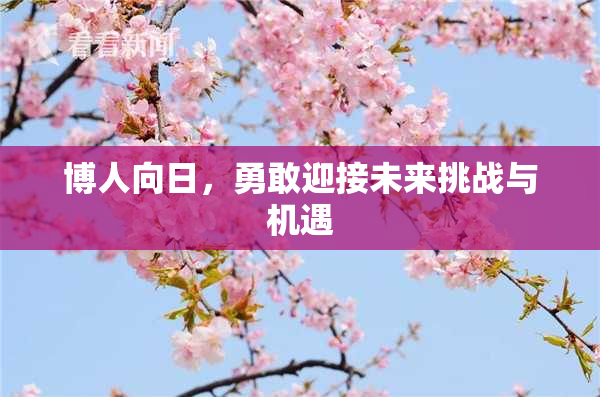 博人向日，勇敢迎接未来挑战与机遇