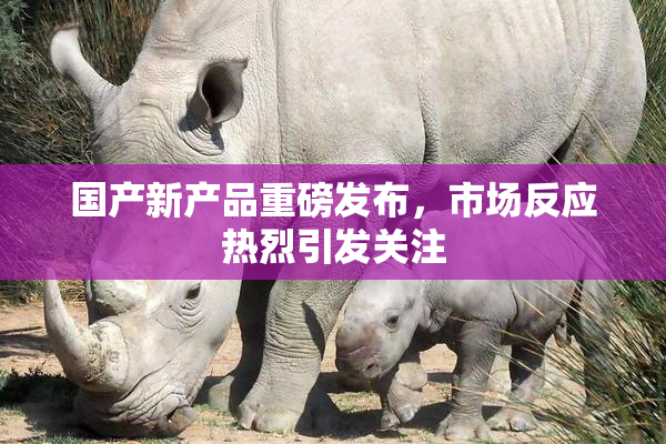 国产新产品重磅发布，市场反应热烈引发关注