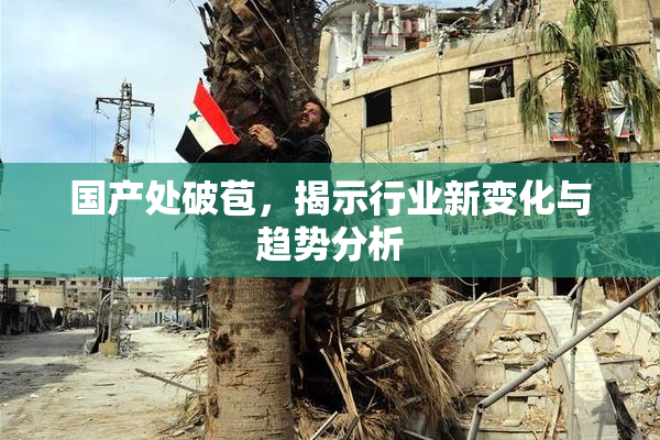 国产处破苞，揭示行业新变化与趋势分析