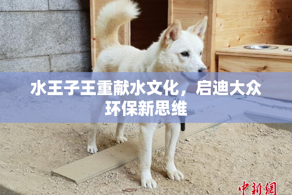 水王子王重献水文化，启迪大众环保新思维