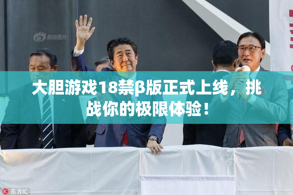 大胆游戏18禁β版正式上线，挑战你的极限体验！
