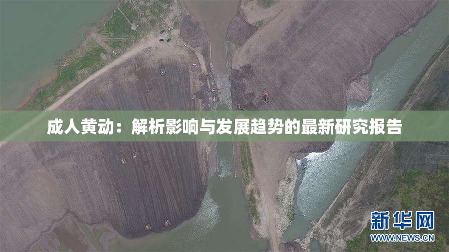 成人黄动：解析影响与发展趋势的最新研究报告