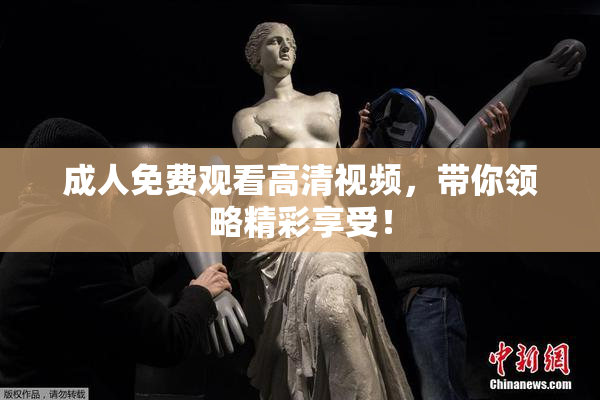成人免费观看高清视频，带你领略精彩享受！