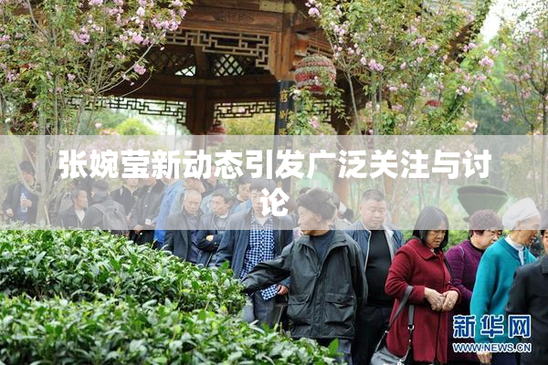 张婉莹新动态引发广泛关注与讨论