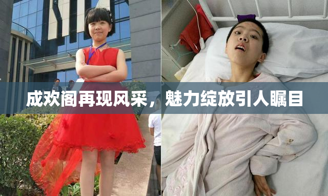 成欢阁再现风采，魅力绽放引人瞩目