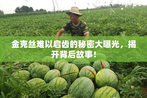 金克丝难以启齿的秘密大曝光，揭开背后故事！