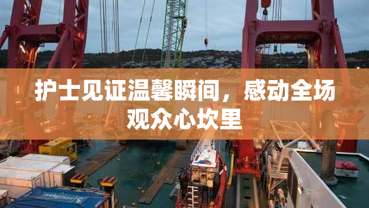 护士见证温馨瞬间，感动全场观众心坎里