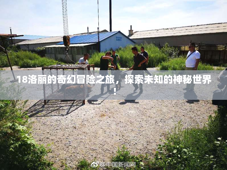 18洛丽的奇幻冒险之旅，探索未知的神秘世界！
