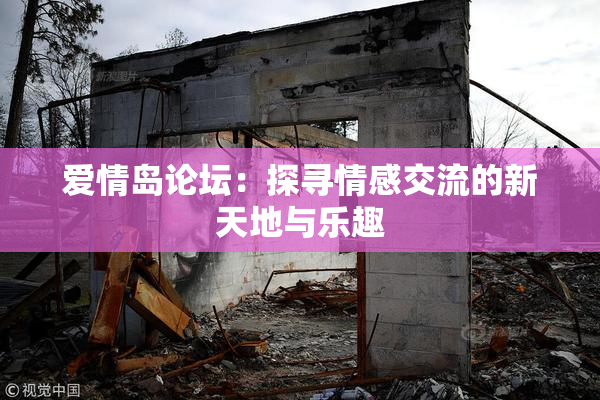 爱情岛论坛：探寻情感交流的新天地与乐趣