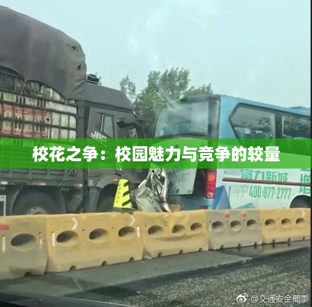 校花之争：校园魅力与竞争的较量