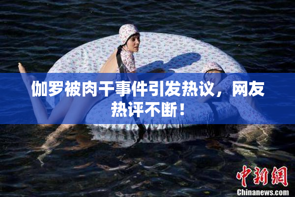伽罗被肉干事件引发热议，网友热评不断！