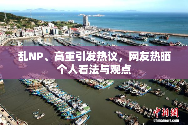 乱NP、高重引发热议，网友热晒个人看法与观点
