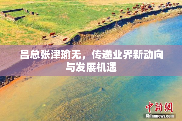 吕总张津瑜无，传递业界新动向与发展机遇